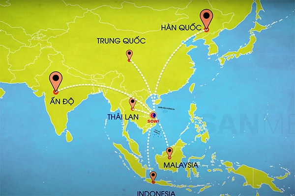 Công ty Sowi S.H lịch sử hình thành và phát triển